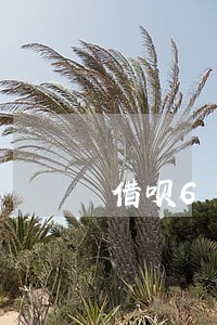 借呗6万逾期两月打电话说来家 借呗6万逾期两月打电话说来家