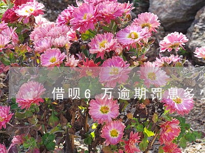 借呗6万逾期罚息多少 借呗6万逾期罚息多少