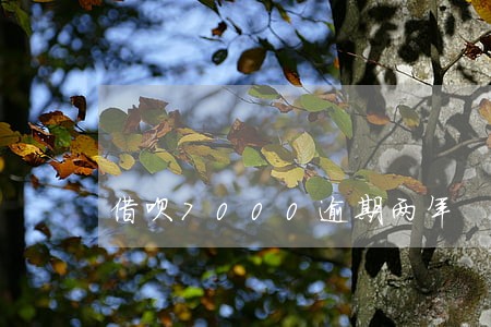 借呗7000逾期两年 借呗7000逾期两年