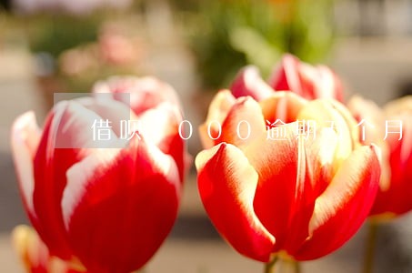 借呗7000逾期五个月 借呗7000逾期五个月