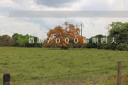 借呗7000逾期四天 借呗7000逾期四天