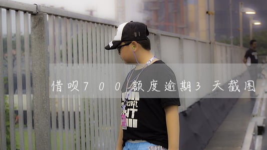 借呗700额度逾期3天截图 借呗700额度逾期3天截图