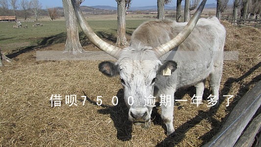 借呗7500逾期一年多了 借呗7500逾期一年多了