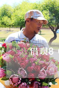 借呗8000逾期一个月多少 借呗8000逾期一个月多少