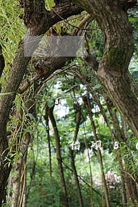 借呗8000逾期会上门吗 借呗8000逾期会上门吗