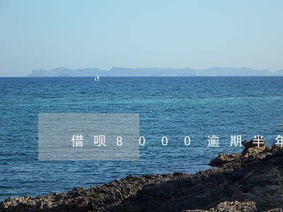 借呗8000逾期半年 借呗8000逾期半年
