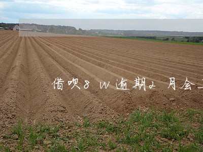 借呗8w逾期2月会上门取证吗 借呗8w逾期2月会上门取证吗