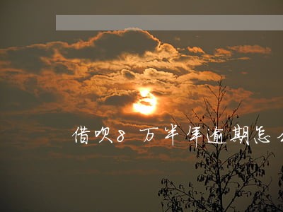 借呗8万半年逾期怎么样 借呗8万半年逾期怎么样