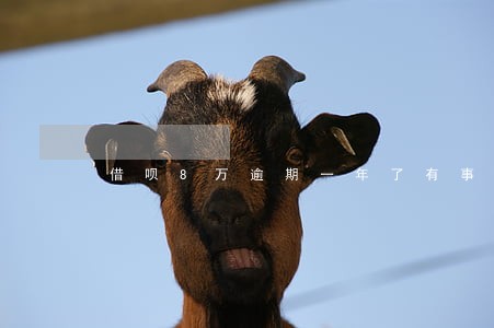借呗8万逾期一年了有事吗 借呗8万逾期一年了有事吗