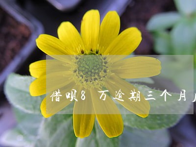 借呗8万逾期三个月后还 借呗8万逾期三个月后还