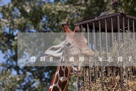 借呗8万逾期三年后得了癌症 借呗8万逾期三年后得了癌症