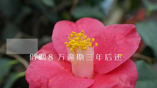 借呗8万逾期三年后还 借呗8万逾期三年后还