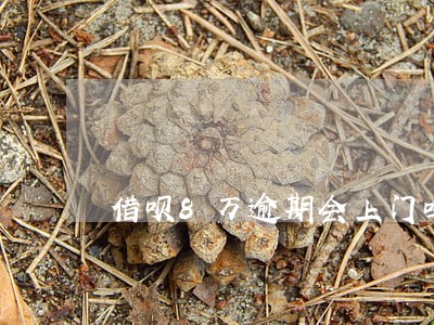 借呗8万逾期会上门吗 借呗8万逾期会上门吗