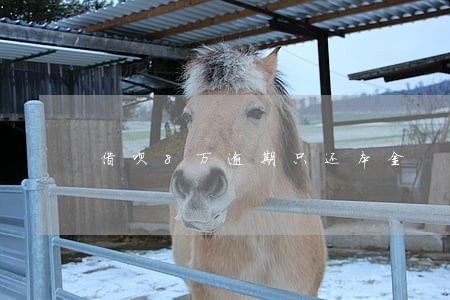 借呗8万逾期只还本金 借呗8万逾期只还本金