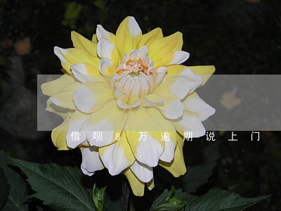 借呗8万逾期说上门 借呗8万逾期说上门