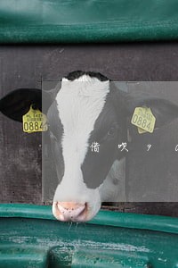 借呗9000逾期三个多月 借呗9000逾期三个多月