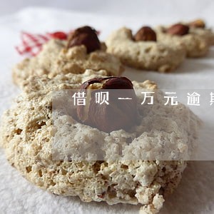 借呗一万元逾期245天