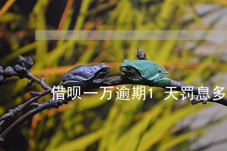 借呗一万逾期1天罚息多少 借呗一万逾期1天罚息多少