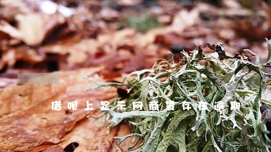 借呗上显示网商贷存在逾期 借呗上显示网商贷存在逾期