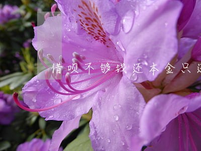 借呗不够钱还本金只还利息 借呗不够钱还本金只还利息