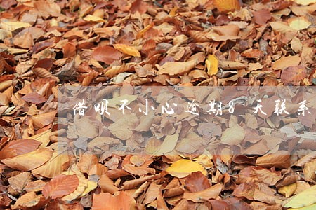借呗不小心逾期8天联系人 借呗不小心逾期8天联系人