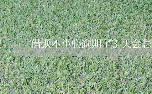 借呗不小心逾期了3天会怎样