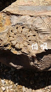 借呗不还会收到律师函吗 借呗不还会收到律师函吗