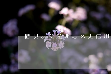 借呗从没逾期怎么无信用额度了
