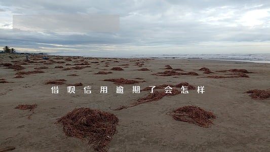 借呗信用逾期了会怎样 借呗信用逾期了会怎样