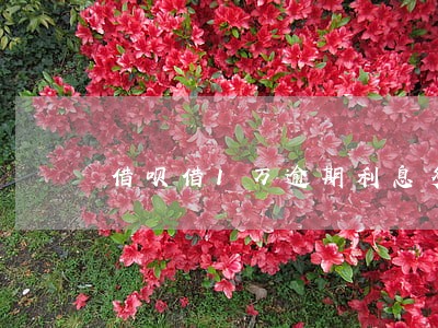 借呗借1万逾期利息多少 借呗借1万逾期利息多少
