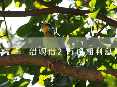 借呗借2万逾期利息是多少 借呗借2万逾期利息是多少