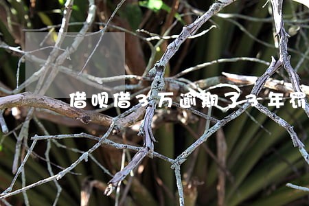 借呗借3万逾期了3年罚息多少 借呗借3万逾期了3年罚息多少