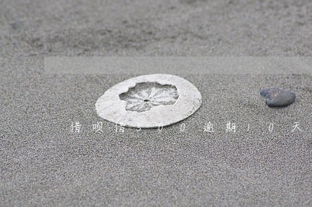 借呗借500逾期10天后果 借呗借500逾期10天后果