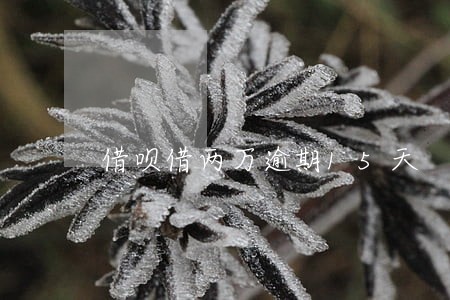借呗借两万逾期15天 借呗借两万逾期15天