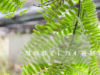 借呗借了1万4逾期半年
