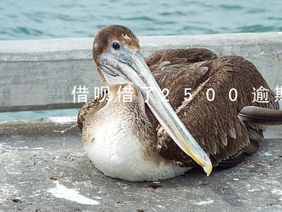借呗借了2500逾期一个月 借呗借了2500逾期一个月