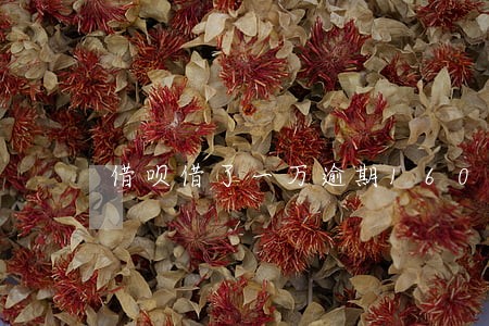 借呗借了一万逾期160天