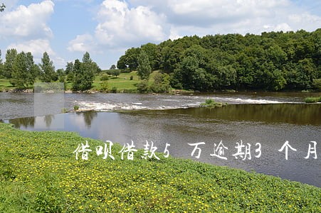 借呗借款5万逾期3个月 借呗借款5万逾期3个月