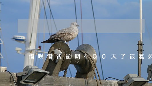 借呗借钱逾期400天了该怎么办 借呗借钱逾期400天了该怎么办