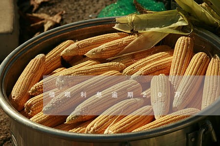 借呗利息逾期20万 借呗利息逾期20万