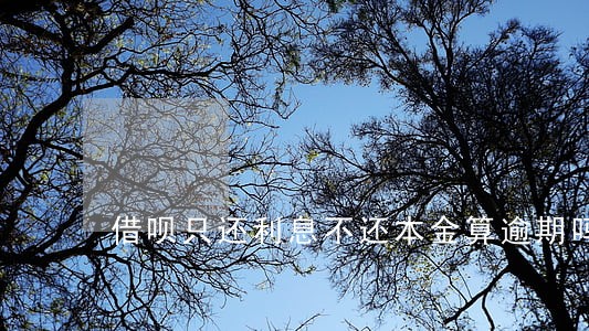 借呗只还利息不还本金算逾期吗 借呗只还利息不还本金算逾期吗