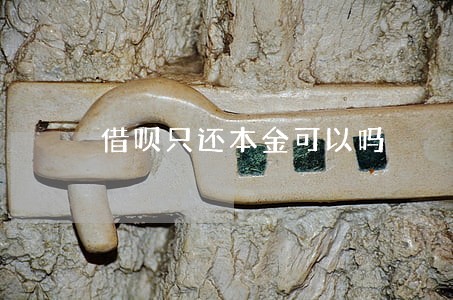 借呗只还本金可以吗 借呗只还本金可以吗