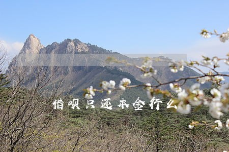 借呗只还本金行么 借呗只还本金行么