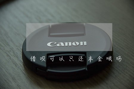 借呗可以只还本金哦吗 借呗可以只还本金哦吗