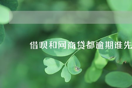 借呗和网商贷都逾期谁先扣款 借呗和网商贷都逾期谁先扣款