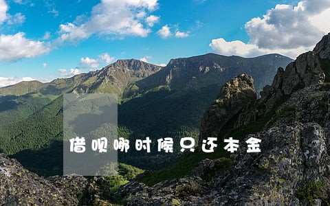 借呗哪时候只还本金 借呗哪时候只还本金