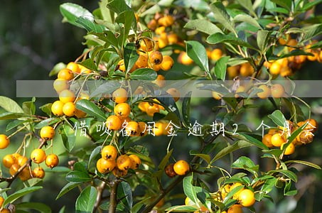 借呗备用金逾期2个月会怎么样 借呗备用金逾期2个月会怎么样