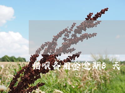 借呗备用金逾期8天 借呗备用金逾期8天