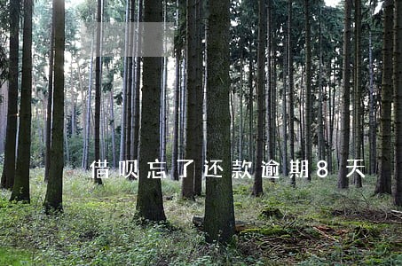 借呗忘了还款逾期8天