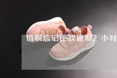 借呗忘记还款逾期2小时 借呗忘记还款逾期2小时